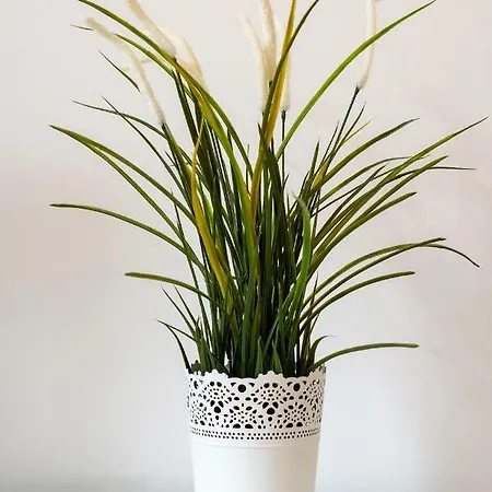 Ildefonso Ii アパート