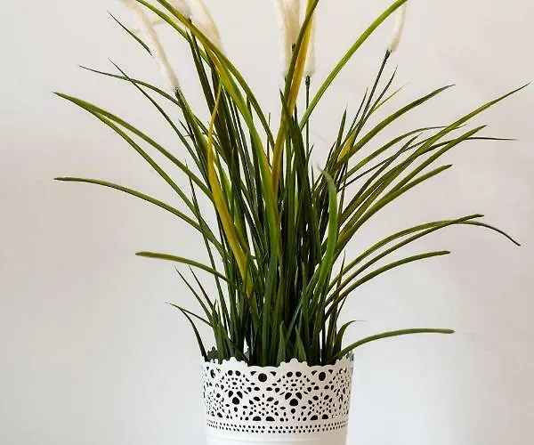 Ildefonso Ii Lejlighed